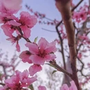 保定旅游 缩略图 6