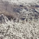 保定旅游 缩略图 7