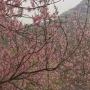 保定旅游 缩略图 8