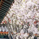 保定旅游 缩略图 10