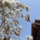 保定旅游 缩略图 11