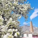 阿坝旅游 缩略图 6