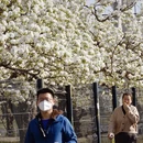 北京旅游 缩略图 9