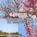 石家庄旅游 缩略图 4