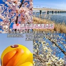 石家庄旅游 缩略图 5