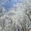 阿坝旅游 缩略图 7