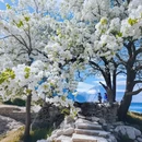 阿坝旅游 缩略图 8