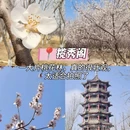 石家庄旅游 缩略图 6