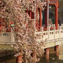保定旅游 缩略图 3