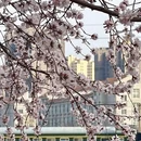 保定旅游 缩略图 2