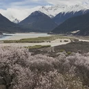 林芝旅游 缩略图 16