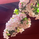 青岛旅游 缩略图 13