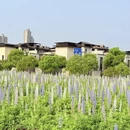 南昌旅游 缩略图 9