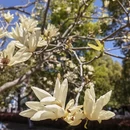 上海旅游 缩略图 3
