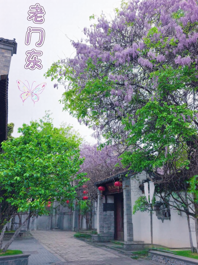 南京旅游