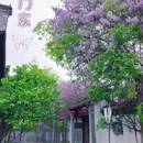 南京旅游 缩略图 1