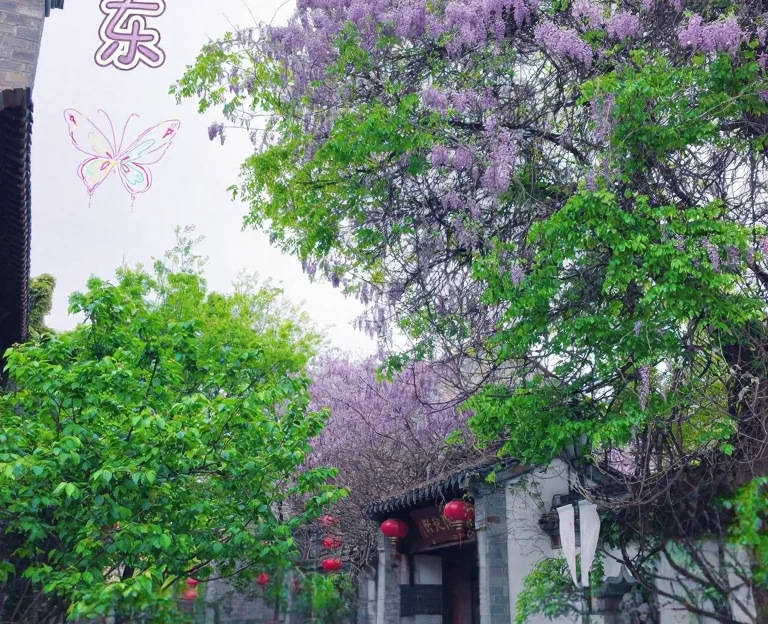 南京旅游 1