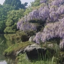 杭州旅游 缩略图 10