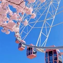 上海旅游 缩略图 2