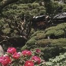 杭州旅游 缩略图 9