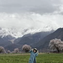 林芝旅游 缩略图 3