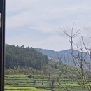 景德镇旅游 缩略图 4