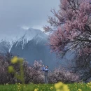 林芝旅游 缩略图 13