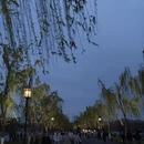 杭州旅游 缩略图 18