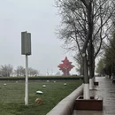 青岛旅游 缩略图 4