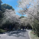 上海旅游 缩略图 7