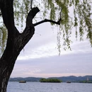 杭州旅游 缩略图 14
