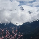 林芝旅游 缩略图 8