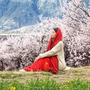 林芝旅游 缩略图 6