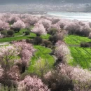 林芝旅游 缩略图 6