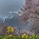 林芝旅游 缩略图 14