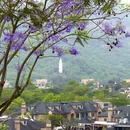 深圳旅游 缩略图 10