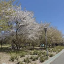 上海旅游 缩略图 11