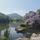 杭州旅游 缩略图 4