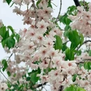 上海旅游 缩略图 9