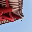 韶关旅游 缩略图 16