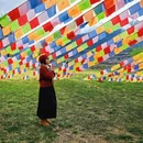 林芝旅游 缩略图 4