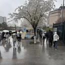 青岛旅游 缩略图 3