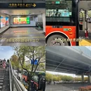 上海旅游 缩略图 10