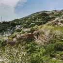 上海旅游 缩略图 6