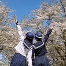 上海旅游 缩略图 13