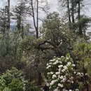林芝旅游 缩略图 3