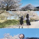 上海旅游 缩略图 4