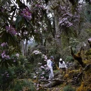 林芝旅游 缩略图 8