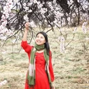 林芝旅游 缩略图 2