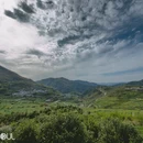 上海旅游 缩略图 12